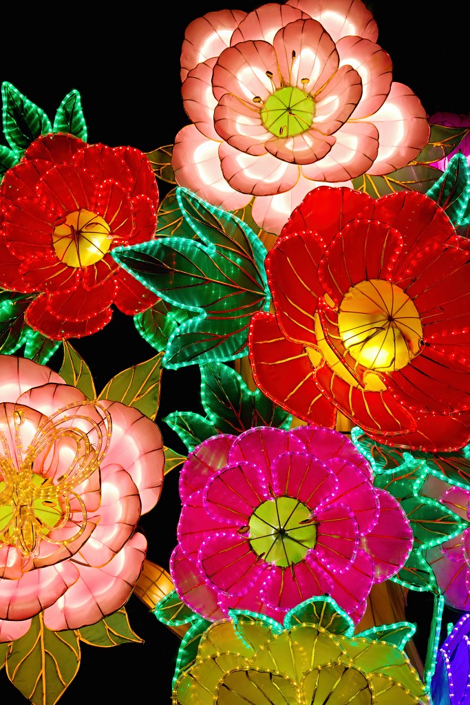 china light licht festival lichtshow show festiviteit glow evenement event chinees chinese verlichting draak dragon lichtfestival zoo